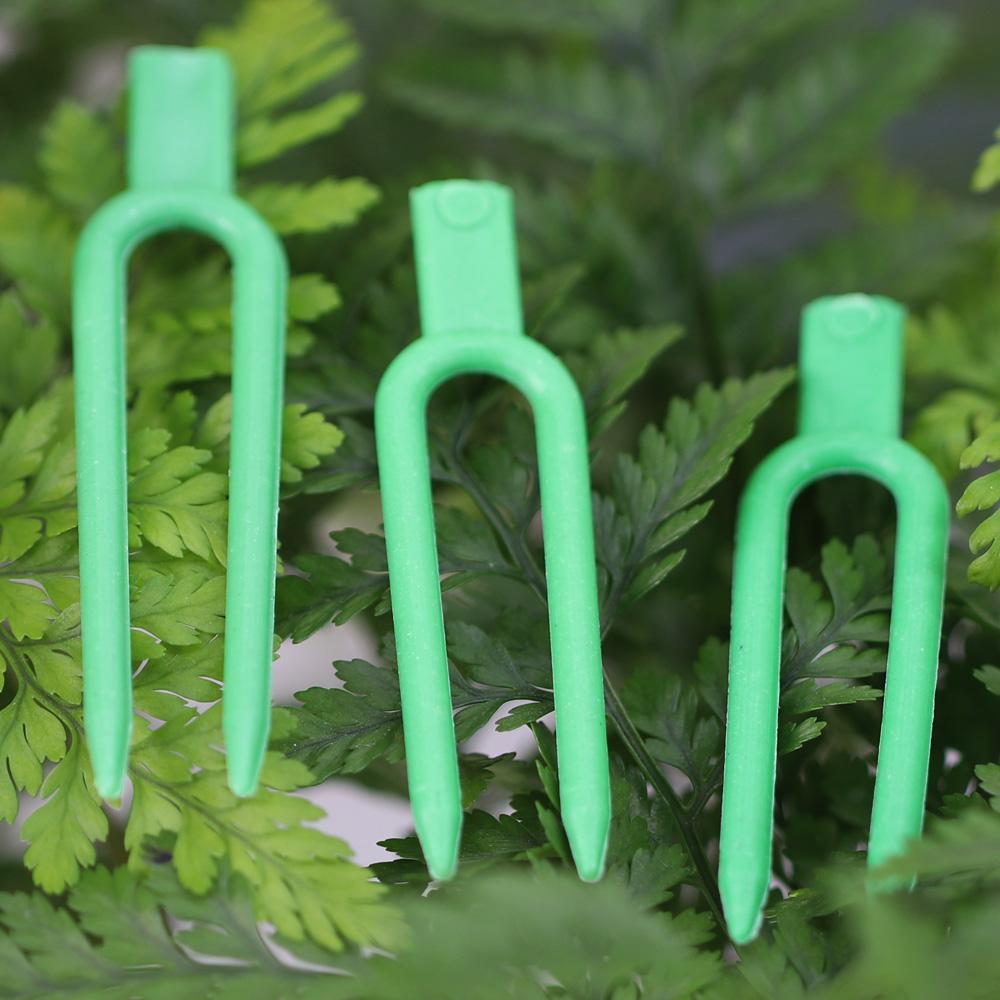 50PCS Strawberry Garden Plants Fastening Fixture Clamp Clips Planting Fork Green Stolon Fixator Watermelon Vine Pressing Tool