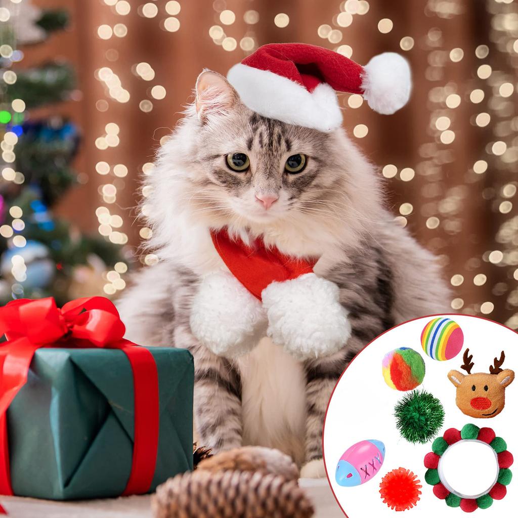 Christmas Advent Calendar , Christmas Countdown Toy 24pc Cat Channel Teasing Stick Pet Cat Toy Set Tunnel Toy