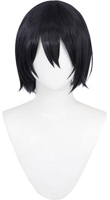 Brown, Heat-resistant, Cosplay Wig with a Net, Perfect for Literary Fiction, Cosplay, Photography, and Festivals (Fyodor D)