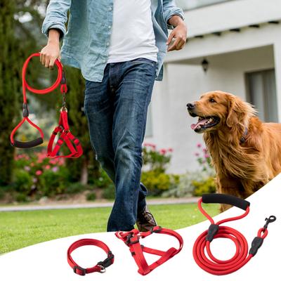 Hondenriem met Gewatteerd Handvat Bergklimmen Nylon Touw Riem met Harnas Halsband Heavy Duty 4ft Hondenriem voor Buitenwandelingen Training
