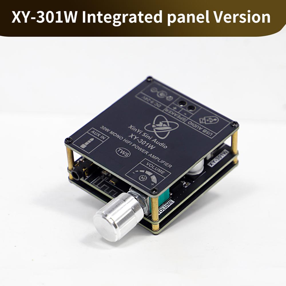 XY-301W Mono 30W Bluetooth Digital Audio Amplifier Board TWS True Wireless Stereo Audio for Speakers with DC 9-24V Support App