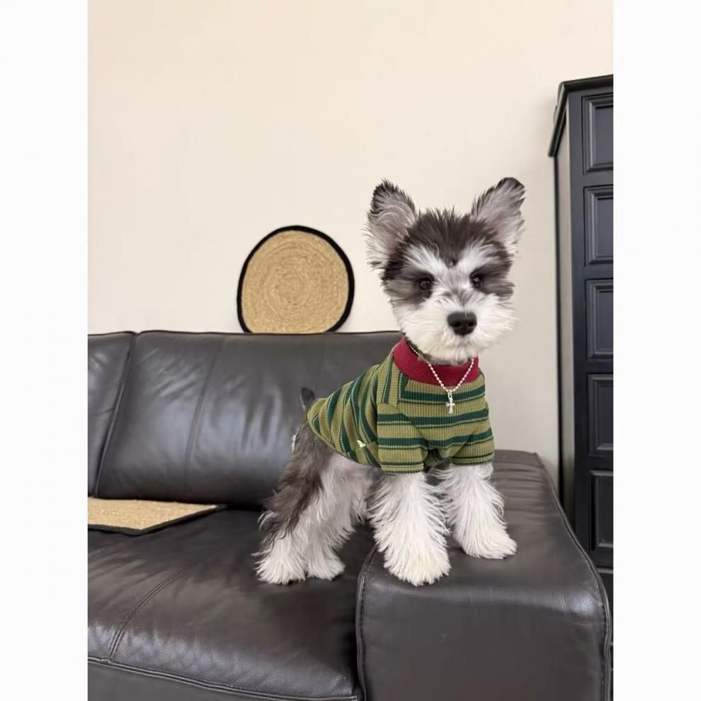 Teddy Dog Shirt Spring Autumn Outdoor Warmth Prevention Two Feet Clothes round Neck T-Shirt Panda Pattern Pet Clothing Access...