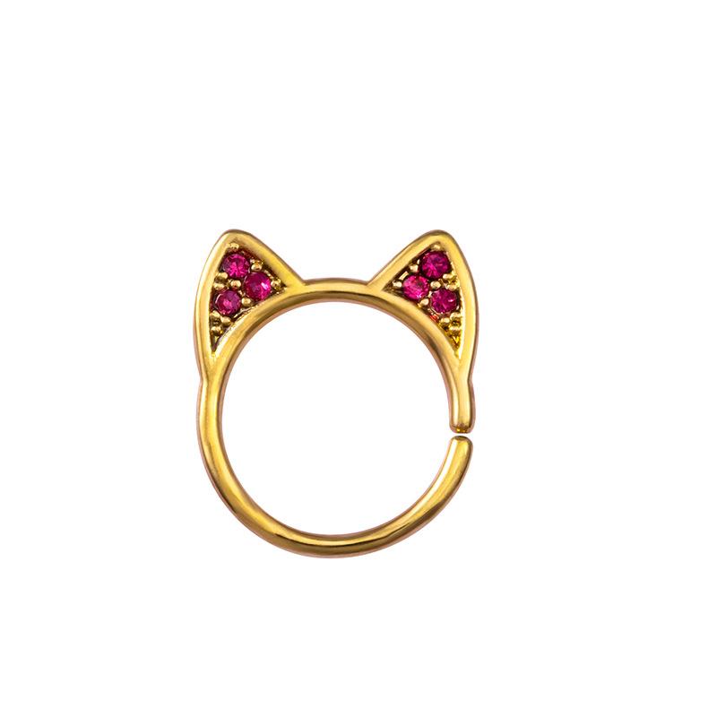 Inel nazal Punctură Personalitate La modă Europenii și americani Pot vorbi Bărbați și femei Inel nazal de oțel inoxidabil