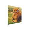 Glass Protective Plate for the Stove 50x52 Lion