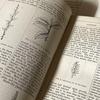 [USED] Extremely Rare British Victorian Antique Gardening Book