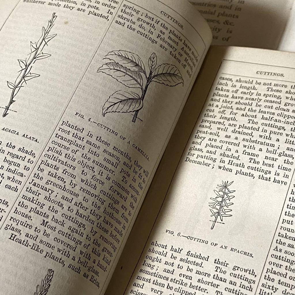 [USED] Extremely Rare British Victorian Antique Gardening Book