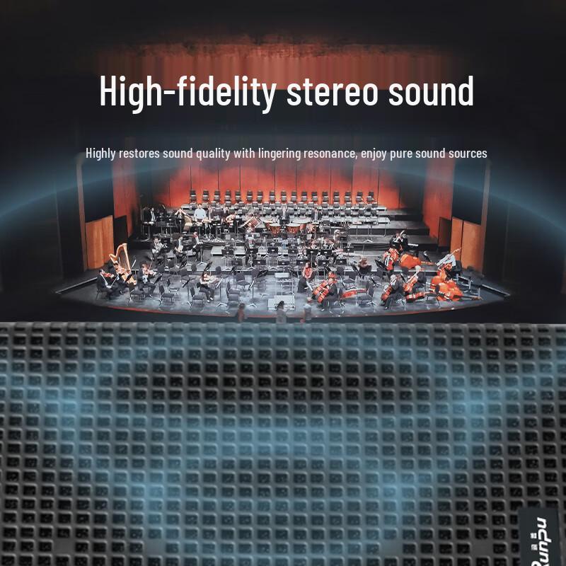 Runpu Professional Dual 8-inch Coaxial Conference Speaker (CN version)