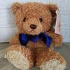 [USED] Y-141 Teddy Bear Collection Teddy Bear Puppet