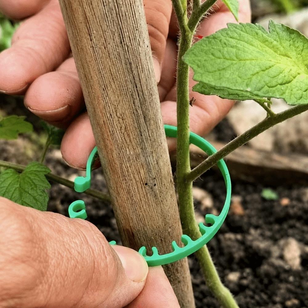1/10/20Pcs Reusable Plant Fixing Buckle Plant Support Clips Garden Vegetable Garden Supplies