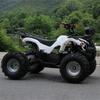 48V 750W Shaft Drive Children's Electric Off-road ATV Buggy with CVT & Three-speed Transmission
