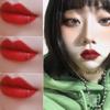 Stainless Steel Fake Lip and Nose Ring - C-Shaped, No Piercing Needed