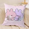 Cartoon Cute Asamimichaan Cushion Cover Silky Short Plush DoubleSided Printed Pillow Case for Sofa All Seasons Home Decor Gift