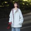 Women's 2024 Spring/Autumn Color Block Plaid Windproof Hooded Sports Top