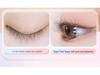 Super Soft Curved Natural False Eyelashes - Model 8910mm Short Straight Single Cluster