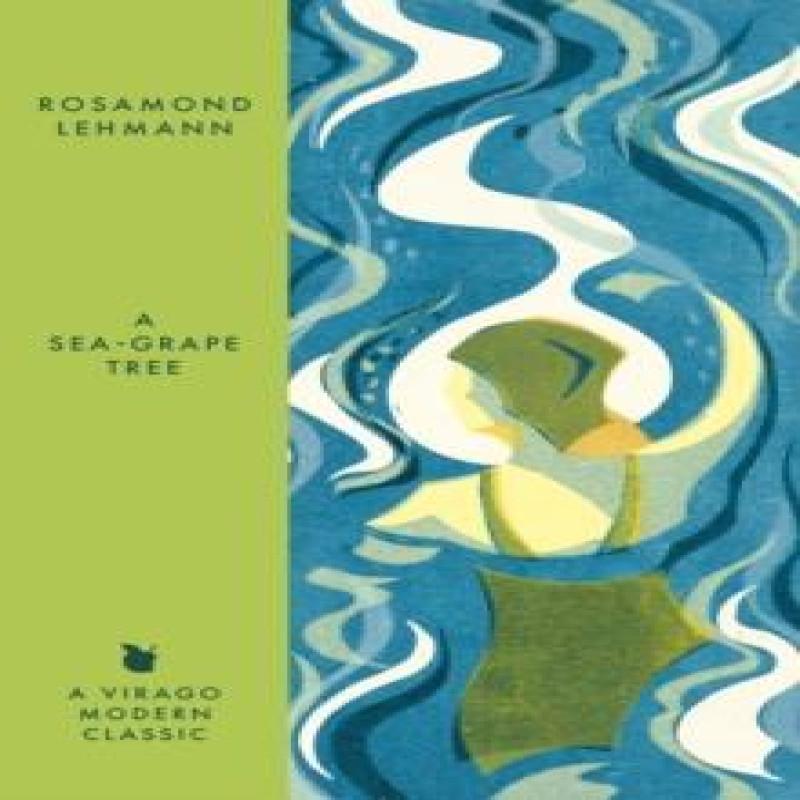 A SeaGrape Tree by Rosamond Lehmann Paperback Book 9780349017990