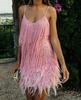 2025 Summer Women's Tassel Sequin Feather Stitch Dress