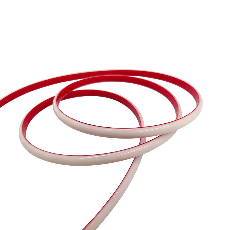 Silicone Waterproof LED Strip Light with Fixing Buckle for Swimming Pools and Fish Tanks
