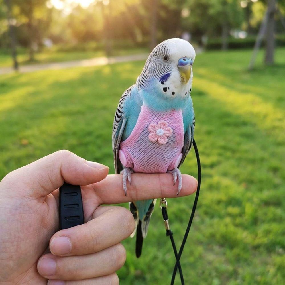 with Leash Bird Flight Suits Snap-Closure Parrot Flying Clothing Bird Vest for Cockatiel Pigeons