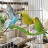 Plastic Bird Perch Stand Simulation Bird Bird Chewing Stand  For Small Medium Parrots