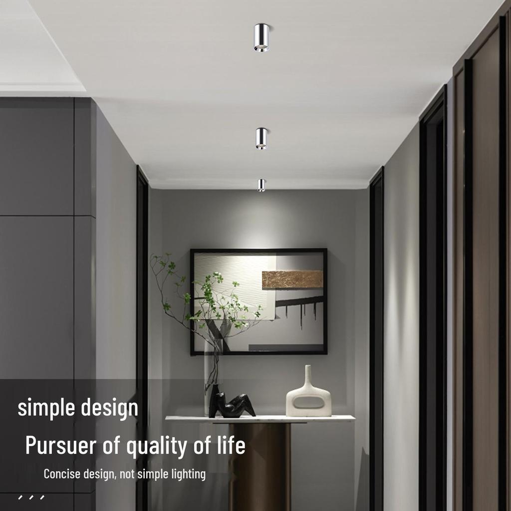 Surface-Mounted Cylinder Spotlight, Anti-Glare Honeycomb, Full Spectrum, Ceiling Light for Bedroom and Living Room.