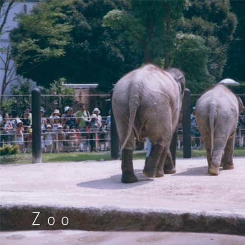 

CD GUITAR PLUS ME - ZOO CXCA1201 Japan ObiJapanese Pop/Rock Used