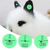 100Pcs Quality Plastic Animal Livestock Ear Tag for Rabbit Fox Dog  Marker Label(Green)