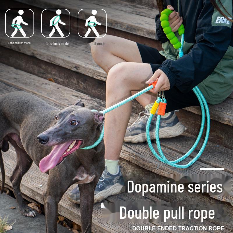 Heavy-Duty Nylon & Leather Dog Training Leash with Anti-Riot P Chain