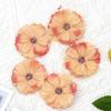 20PCS DIY Flower Patch Fabric Exquisite Silk Flower Flower Applique  Hair Clips Decor