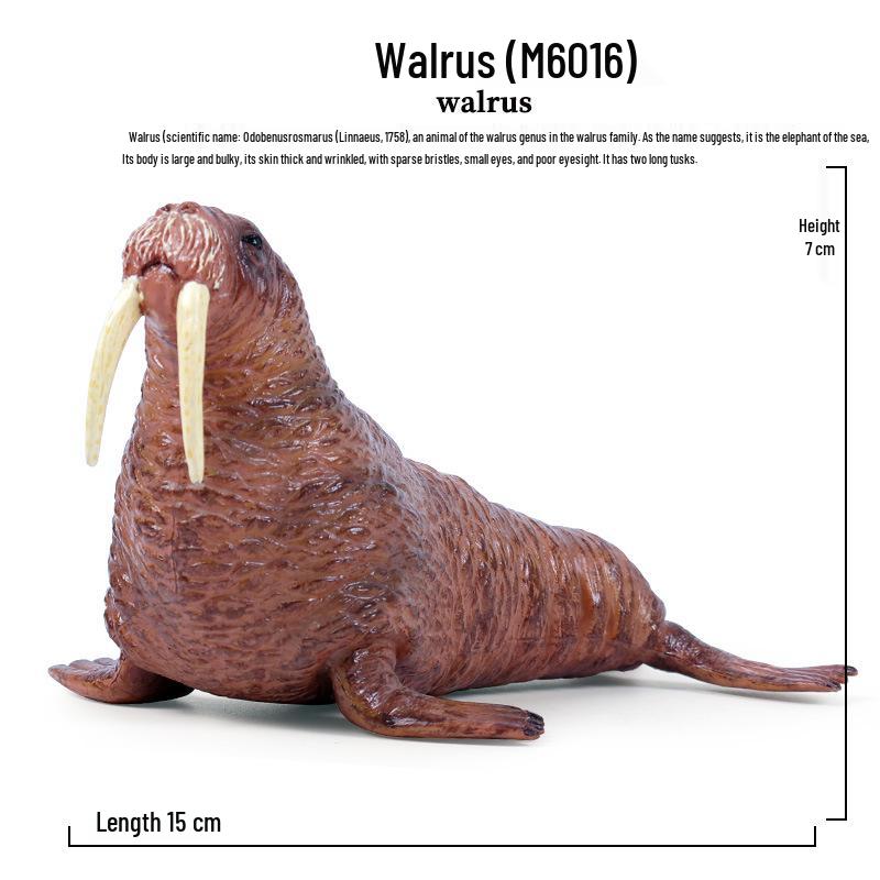 Children s Marine Life Cognitive Simulation Toys - Walrus, Manatee, Sea Lion Models