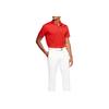 Nike Dri-Fit Golf Moisture-Wicking Breathable Short Sleeve Polo Shirt Men tops Red AJ5480-657