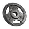 Cast Iron Weight Set 4X2.5Kg 10Kg Hole 31Mm Plate With Handles Rebel