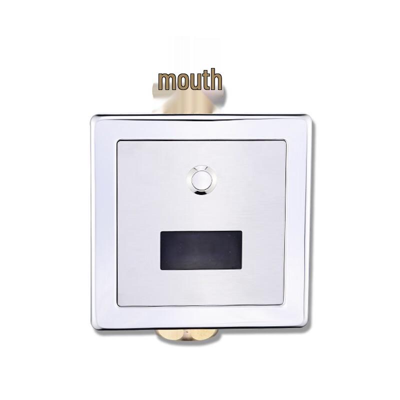 Anica Enjoy Automatic Sensor Toilet Flusher