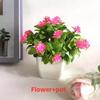 Flowers Eighteen Simulated Daisy Pine Cone Artificial Green Plant Potted Plant