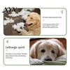 Pet Training Play Supplies Christmas Dog Squeaky Chew Toys, Teeth Cleaning Interactive Holiday Themed Durable Toys for Aggressive Chewers Balls