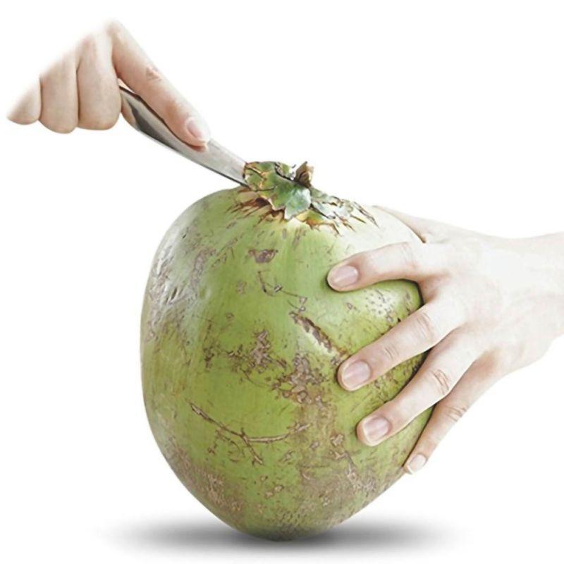 1Pcs Coconut Opener Stainless Steel Fruit Punch Tool Straw Open Hole Cut Summer Beach Fruit Coconut Practical Openers Gadget