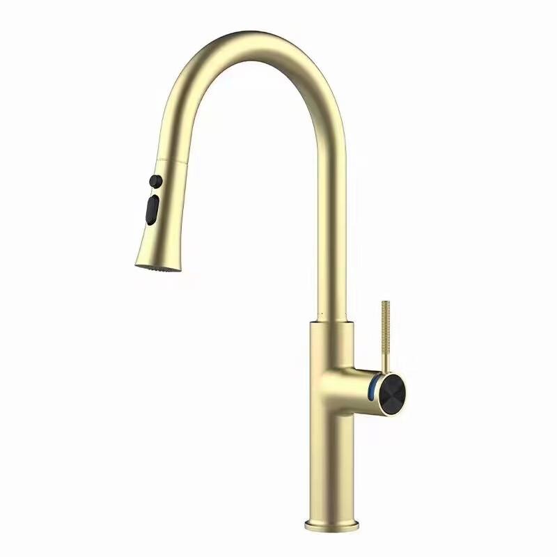 TLXT Brushed Gold Wall-Mounted Swivel Kitchen Faucet