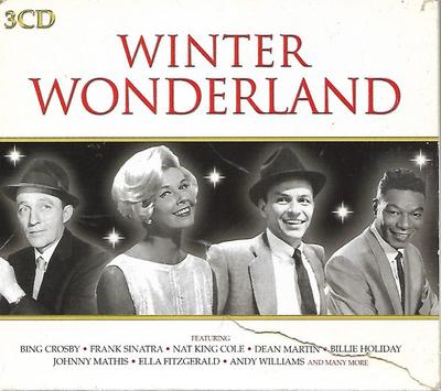 CD VERSCHIEDENE Winter Wonderland DMGTV004 DMG TV 2003 UK Pop Gebraucht