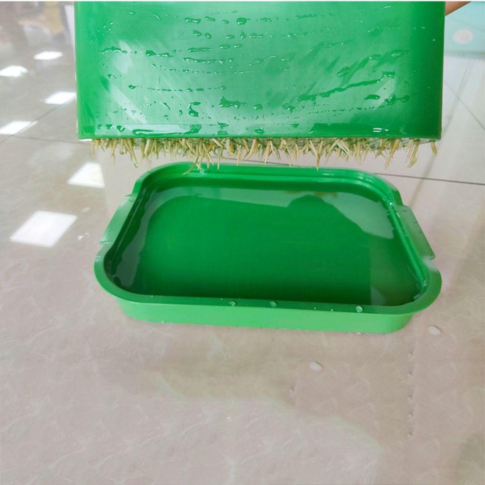 Green Sprout Dish Growing Pot Plastic Beans Seeding Pot New Plants Germination Tray