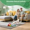 Tapis d'odorat pour animaux de compagnie Lavable Tapis d'odorat pour chien Design Multi-Fleurs Tapis d'alimentation lente Encourage les compétences naturelles de recherche de nourriture pour chiens