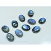 12X16MM Natural Labradorite Blue Fire Oval Cabochon Loose Gemstone 10Pcs Lot C-1060
