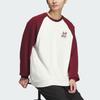 adidas Small Logo Embroidered Color Block Sweatshirt JE6113