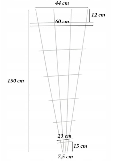 Fan support for climbing plants 150x60cm Stable support for the garden