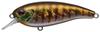 EVERGREEN Belcanto Baby Gill #50