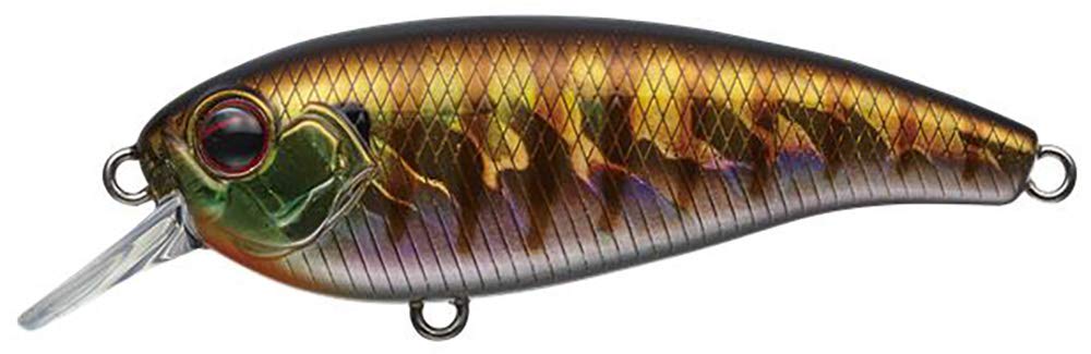 

EVERGREEN Belcanto Baby Gill #50