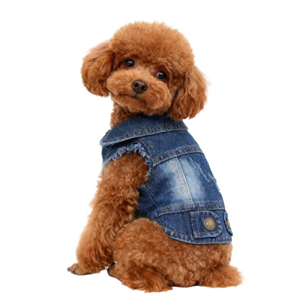 Spring Fashion Denim Dog Jacket, Classical Puppy Clothes for Small Dogs, Chihuahua Jeans, Personalized Pet Costume, 2026