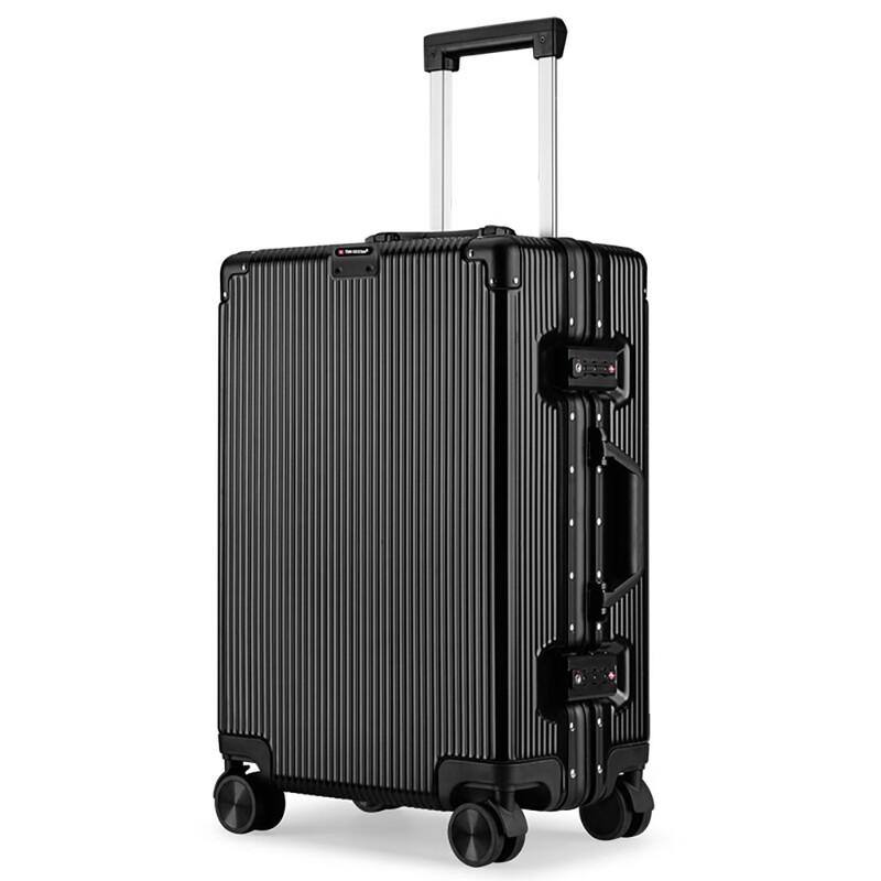 Ruizhi RZ-3820B Business Travel Hardside Spinner Luggage