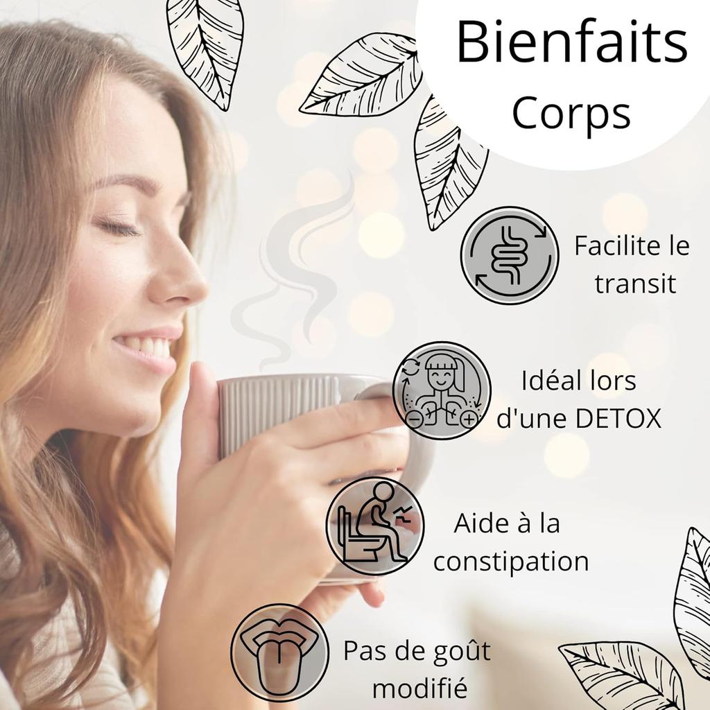 Senna Makki Leaves 50g Whole – Natural Herbal Laxative & Colon Cleanse – Supports Healthy Digestion and Bowel Movement – Detox Herbal Tea