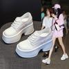Casual Shoes Women's 2025 New Platform White Shoes Women's Inner Height Increased by 11 Cm Ultra-high Small Leather Shoes Muffin Thick Sole