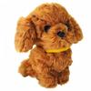 Sun Lemon Pups! Toy Poodle, Brown, Small, 15 X 8.2 X 17.4 Cm, Plush Animal Dog, P-5912