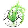 Geometric Shape Glass Flowerpot Succulents Plant Planter Container Decor Landscape Display   Decor